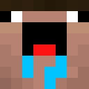 Image for Swiiss_ Minecraft Player