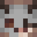 Image for T0URS Minecraft Player