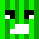 Image for TAHMIE Minecraft Player