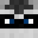 Image for THE_RACC00N Minecraft Player