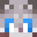 Image for THEgraycat Minecraft Player