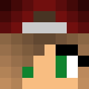 Image for Taiga1111 Minecraft Player