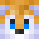 Image for TailsTheFox Minecraft Player