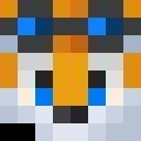 Image for Tails_The_Fox Minecraft Player