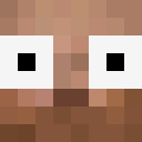 Image for TeamPlease Minecraft Player