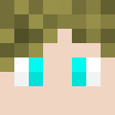 Image for Technohawk Minecraft Player