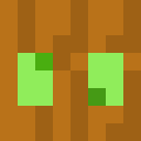 Image for TeemuR Minecraft Player