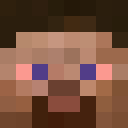 Image for Teenth Minecraft Player