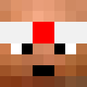 Image for Testleads Minecraft Player