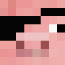 Image for TheBaneOfPigs Minecraft Player