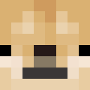 Image for TheCloakedDoge Minecraft Player