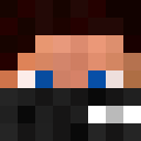 Image for TheDerpyTurtle Minecraft Player