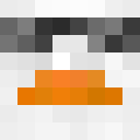 Image for TheDuck00 Minecraft Player