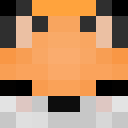 Image for TheDucki Minecraft Player