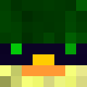 Image for TheDucktator Minecraft Player