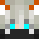 Image for TheFoxGuy Minecraft Player