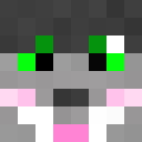 Image for TheFurry Minecraft Player