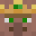 Image for TheKingVillager Minecraft Player