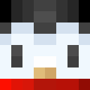 Image for ThePenguinLord Minecraft Player