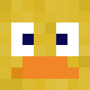 Image for TheQuackGoesDuck Minecraft Player