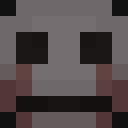 Image for TheSkinTaker Minecraft Player