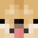 Image for Thecooldoge Minecraft Player