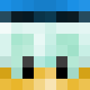 Image for Thoku Minecraft Player