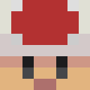 Image for Toad_craft Minecraft Player