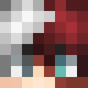 Image for Todoroki_1 Minecraft Player