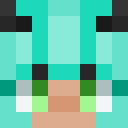 Image for TomasDrak3e Minecraft Player