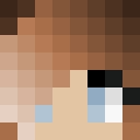 Image for Tori_L Minecraft Player