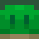 Image for Tortt Minecraft Player