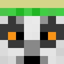 Image for Toud Minecraft Player