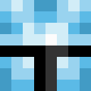Image for TransAm Minecraft Player