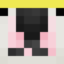 Image for Trans_Pride Minecraft Player