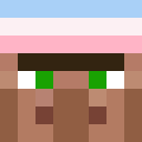 Image for Transphob Minecraft Player