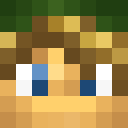 Image for TreeTurtle Minecraft Player