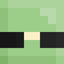 Image for Turtillas Minecraft Player