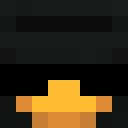 Image for TurtleFire Minecraft Player