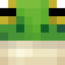 Image for Turtle_Chan Minecraft Player
