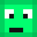 Image for Turtle_Gamer_ Minecraft Player