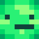 Image for Turtlee Minecraft Player