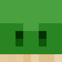 Image for Turtlegamer_ Minecraft Player