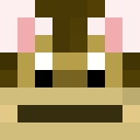 Image for Tyr_ Minecraft Player