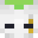 Image for TzyK Minecraft Player