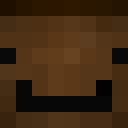 Image for U1S Minecraft Player