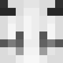 Image for VEREINT Minecraft Player