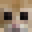 Image for Vacuite Minecraft Player