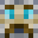 Image for Valleron Minecraft Player