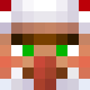 Image for Valsek Minecraft Player